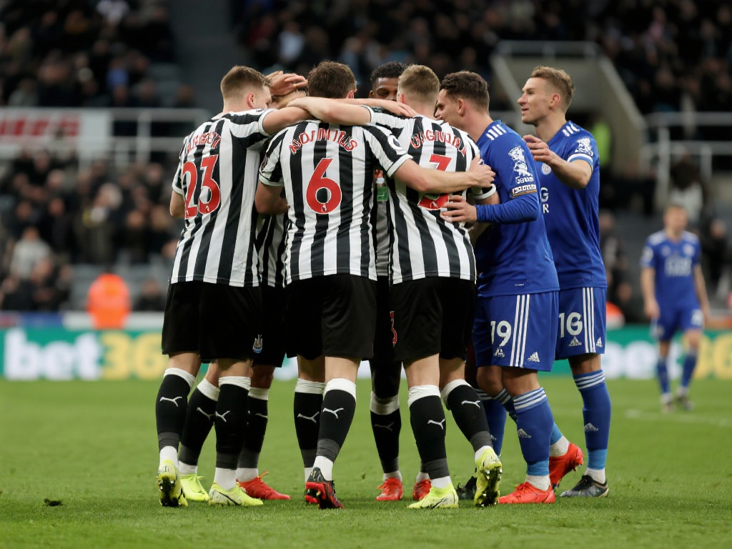 排球场地标准规格及平面设计图